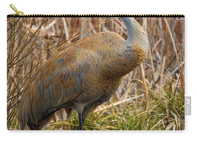 Nature Carry-all Pouch featuring the photograph Sandhill Crane Standing in a Marsh of a Wildlife Refuge by Ron Grafe