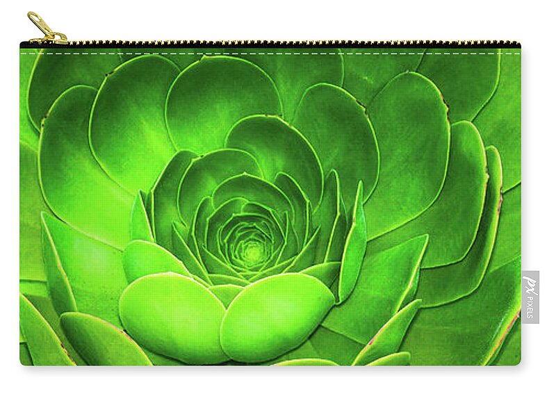 Environmental Zip Pouch featuring the photograph Santa Barbara Succulent #7 by Jennifer Wright