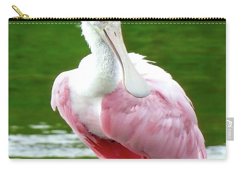 Santa Hat Zip Pouch featuring the photograph Santa Spoonbill by Beth Myer Photography