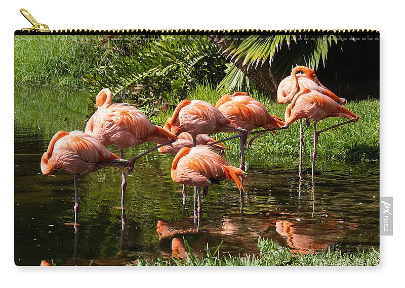 Flamingos Zip Pouch featuring the photograph Sarasota Jungle Garden Flamingos in Vrksasana by L Bosco