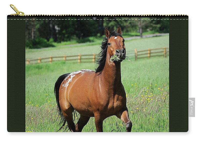 Rosemary Farm Sanctuary Zip Pouch featuring the photograph Sawyer by Carien Schippers