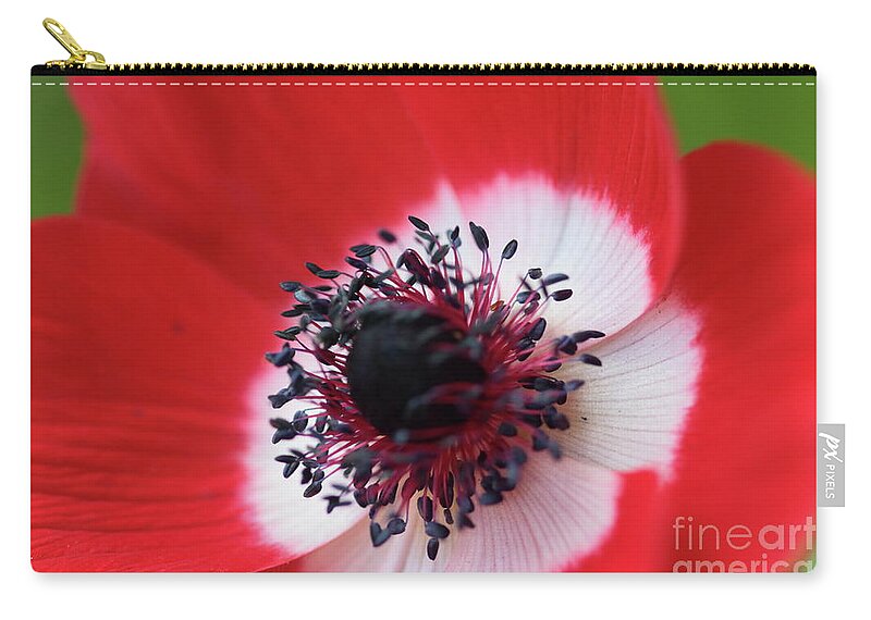 Flower Zip Pouch featuring the photograph Scarlet Anemone by Stephen Melia