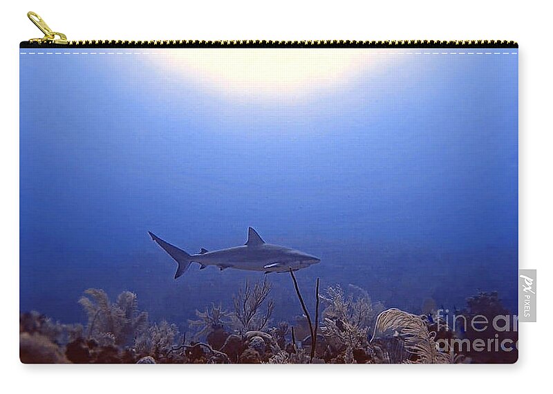 Reef Shark Zip Pouch featuring the photograph Scarlett by Kip Vidrine