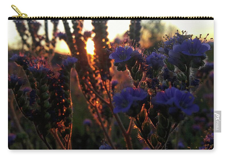Arizona Wildflowers Zip Pouch featuring the photograph Scorpion Weed Sunset by Gene Taylor