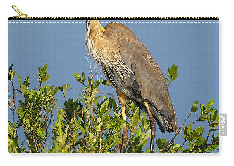 R5-2652 Carry-all Pouch featuring the photograph Scratch that Itch by Gordon Elwell