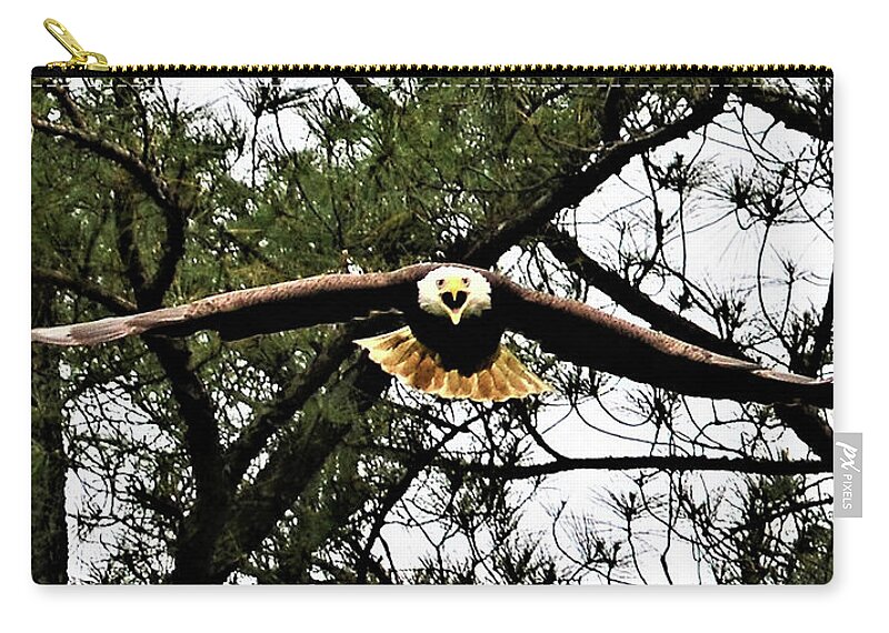 Eagle Zip Pouch featuring the photograph Screaming Eagle by Addison Likins