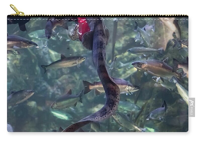Scuba Diver Zip Pouch featuring the photograph Scuba Diver Feeding Eel by Suzanne Luft