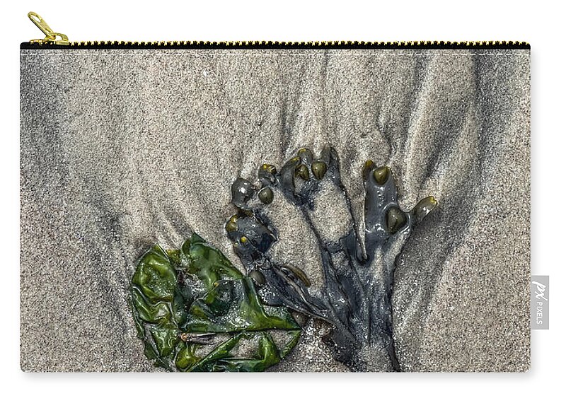 Seaweed Zip Pouch featuring the photograph Sculpted by the Tide by Cate Franklyn