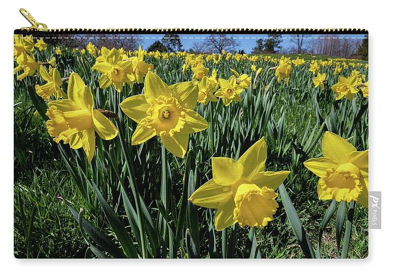 Spring Zip Pouch featuring the photograph Sea of Daffodils by Kevin Suttlehan