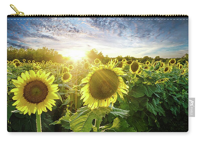 Sunflowers Zip Pouch featuring the photograph Sea of Sunshine by Randall Allen