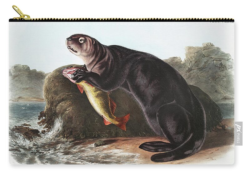 America Zip Pouch featuring the mixed media Sea Otter. John Woodhouse Audubon Illustration by World Art Collective