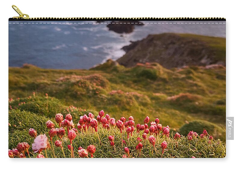Sea Pink Zip Pouch featuring the photograph Sea Pink Last Glowing by Mark Callanan