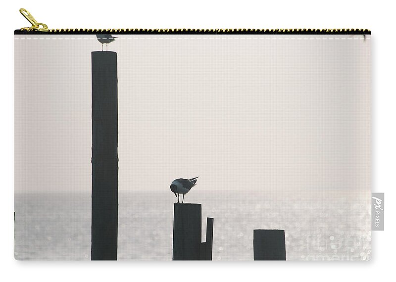Beach Zip Pouch featuring the photograph Seagull 5 by Andrea Anderegg