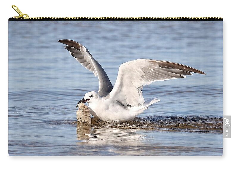 Seagull Carry-all Pouch featuring the photograph Seagull and Its Catch by Mingming Jiang
