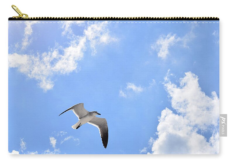 Bird Zip Pouch featuring the photograph Seagull bird Photo 145 by Lucie Dumas