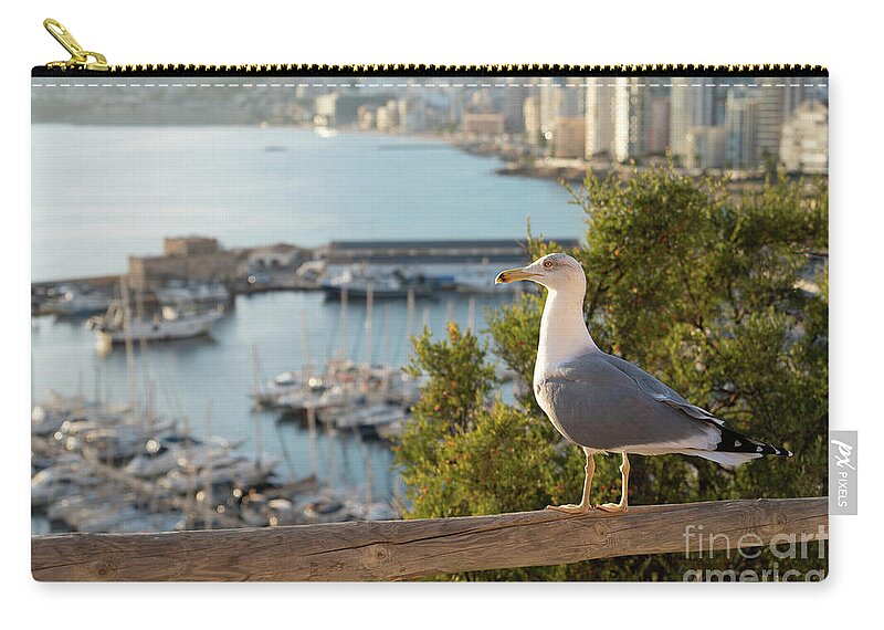 Seagull Zip Pouch featuring the photograph Seagull looking at the marina in Calpe and the Mediterranean Sea by Adriana Mueller