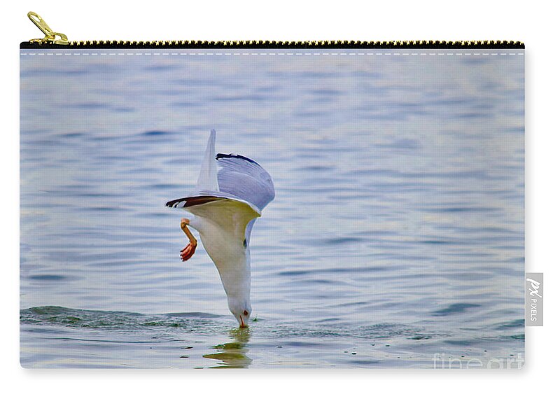 Seagull Zip Pouch featuring the photograph Seagull Ocean Nose Dive by Debra Banks
