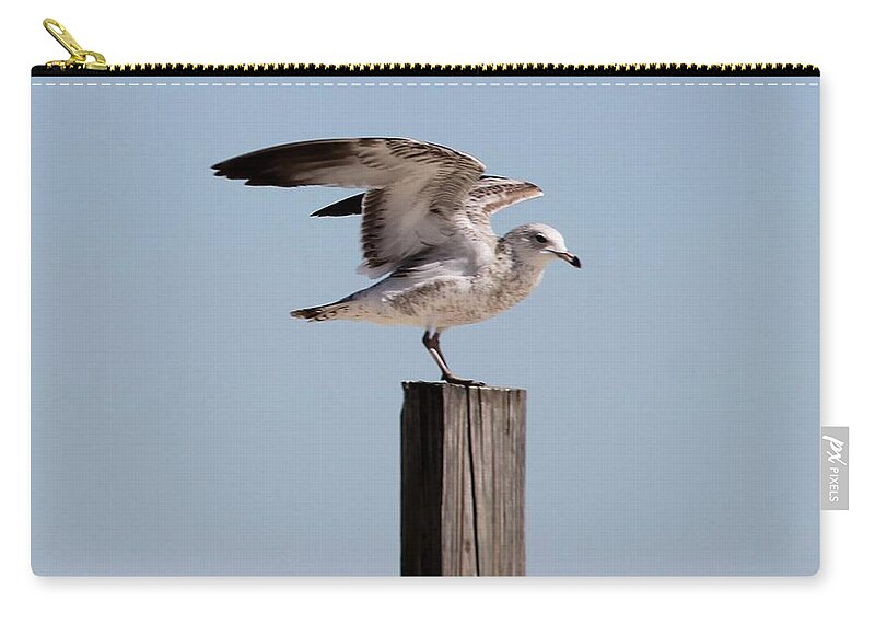 Seagull Zip Pouch featuring the photograph Seagull on Post by Catherine Wilson