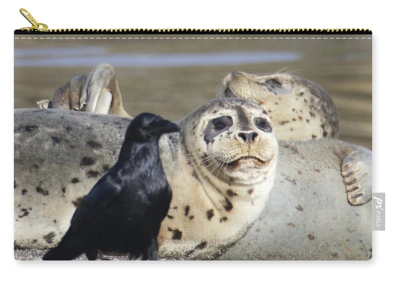 Seal Zip Pouch featuring the photograph Seal and Raven by Perry Hoffman