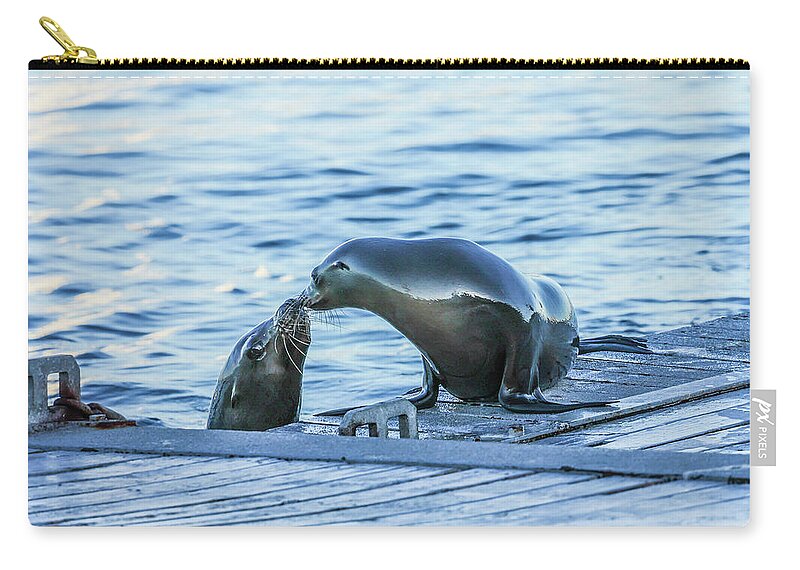 Seals Zip Pouch featuring the photograph Seal Love by Tahmina Watson