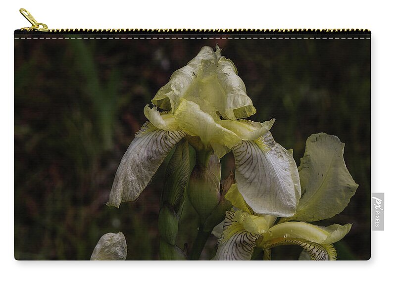 Flowers Zip Pouch featuring the photograph Seeing Yellow in the Rain by Kathy McClure