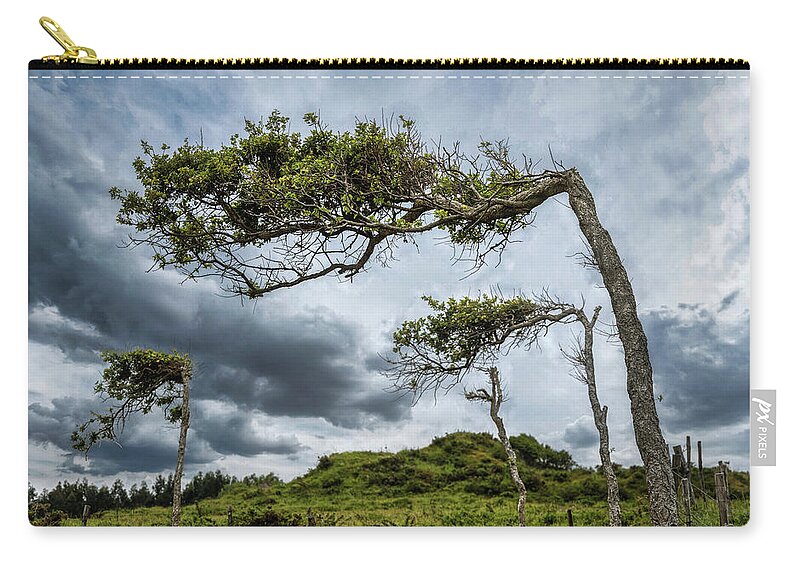Trees Zip Pouch featuring the photograph Self-seeking trees by Micah Offman