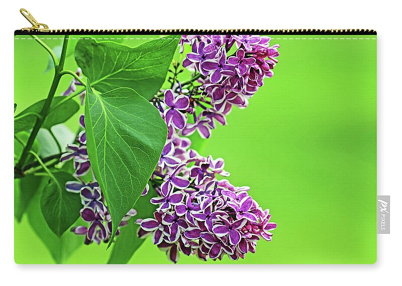 Lilacs Zip Pouch featuring the photograph Sensation Lilacs by Debbie Oppermann