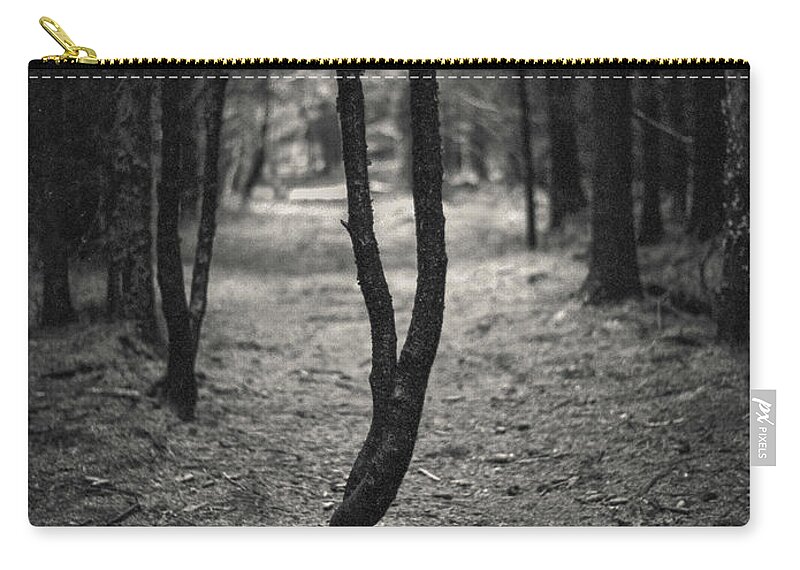 Tree Zip Pouch featuring the photograph Separation by Dave Bowman