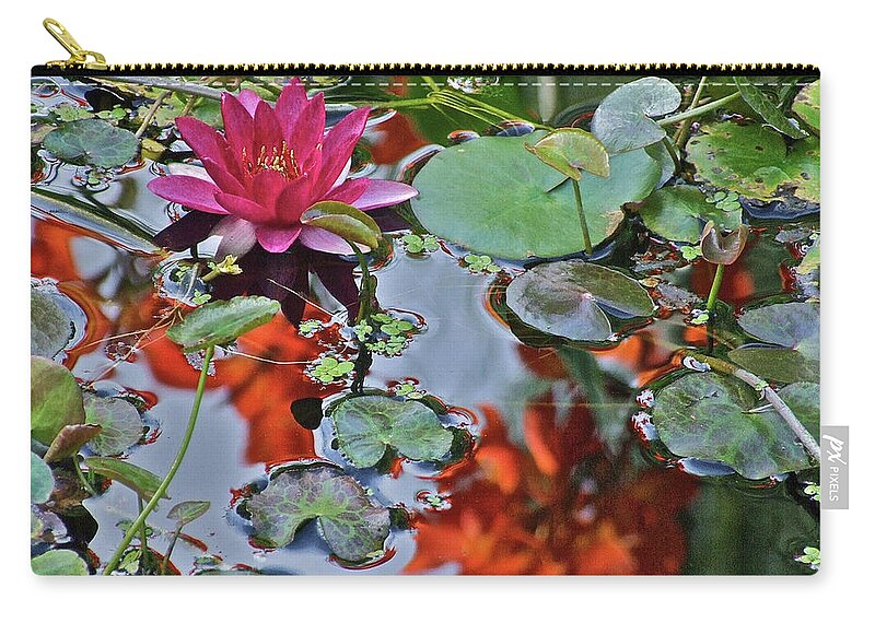 Waterlily: Water Garden Carry-all Pouch featuring the photograph September Rose Water Lily 1 by Janis Senungetuk