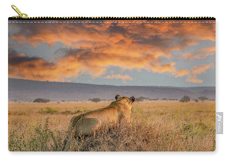 Tanzania Zip Pouch featuring the photograph Serengeti Lion Enjoys Sunset by Marcy Wielfaert