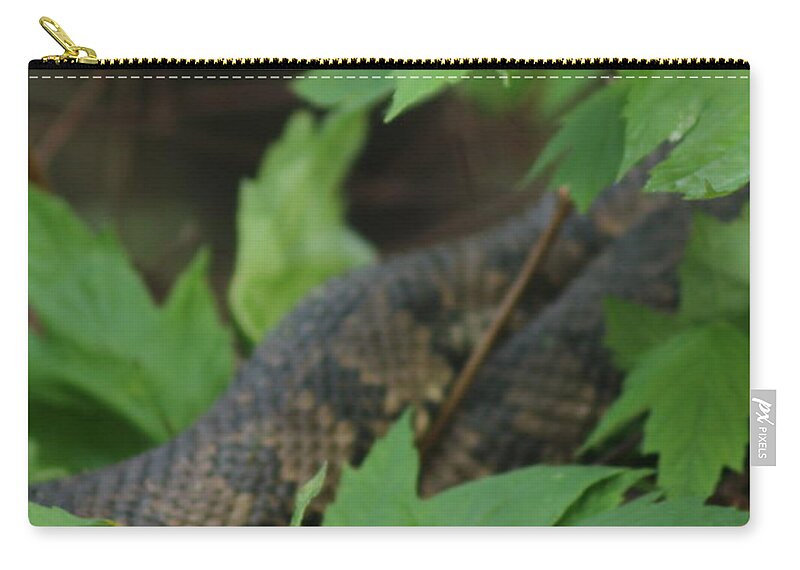 Snake Zip Pouch featuring the photograph Serpent in the tree by Amy Curtis