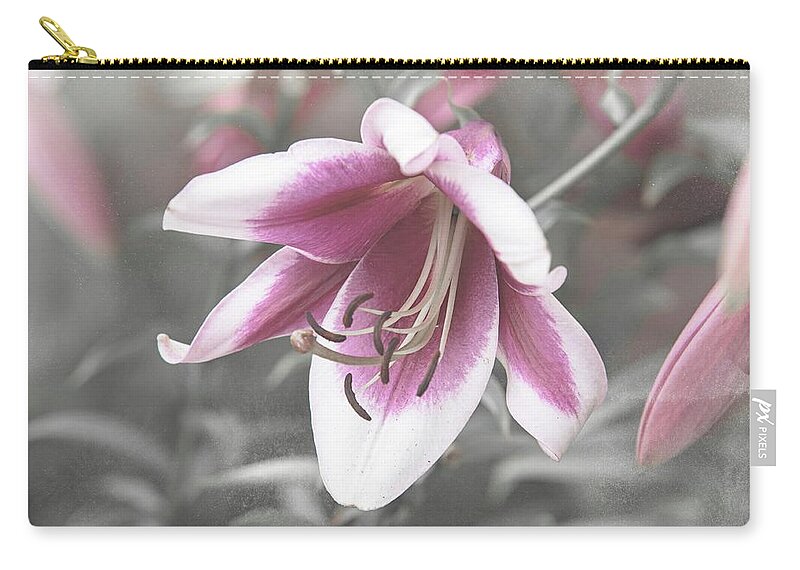 Jenny Rainbow Fine Art Photography Zip Pouch featuring the photograph Shabby Chic Collection - Lily Silk Road 1 by Jenny Rainbow