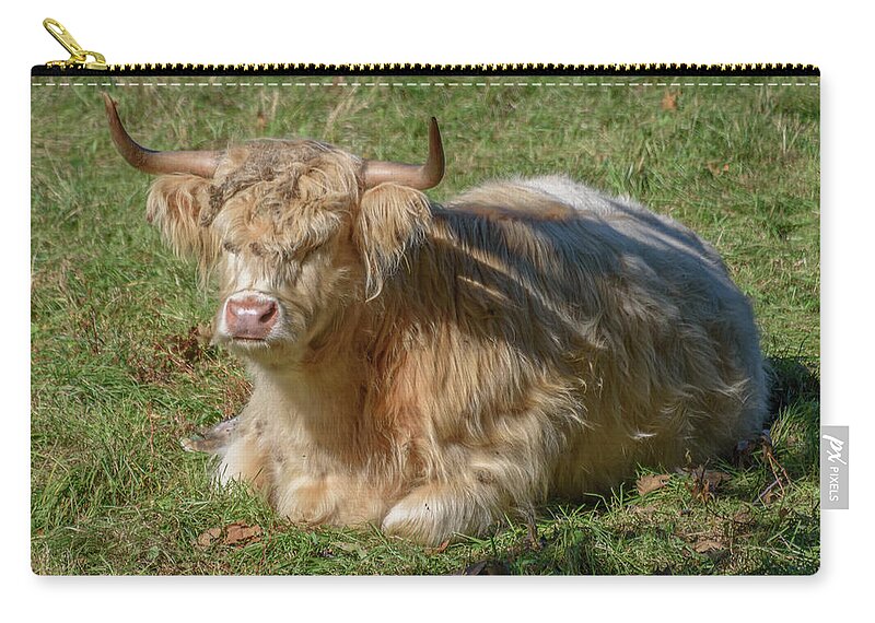 The Highland Zip Pouch featuring the photograph Shaggy Maine Longhorn by Guy Whiteley