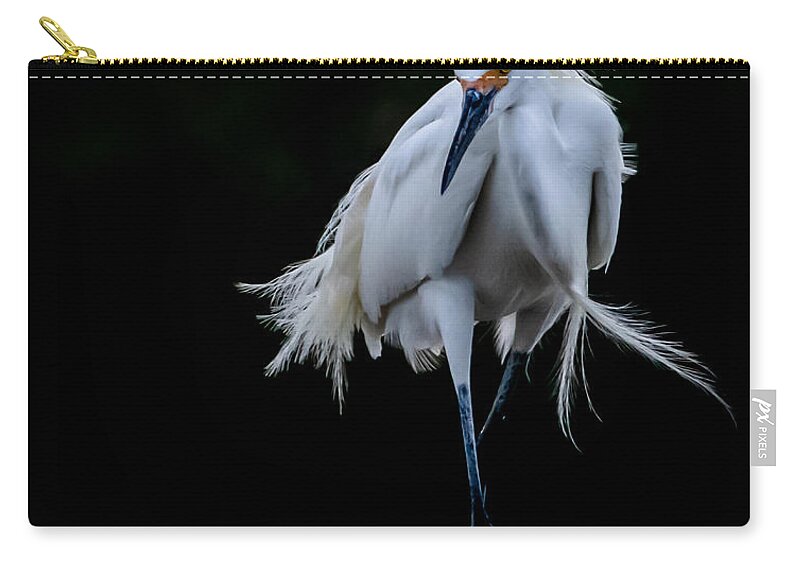 Bird Carry-all Pouch featuring the photograph Shall We Dance by Shara Abel