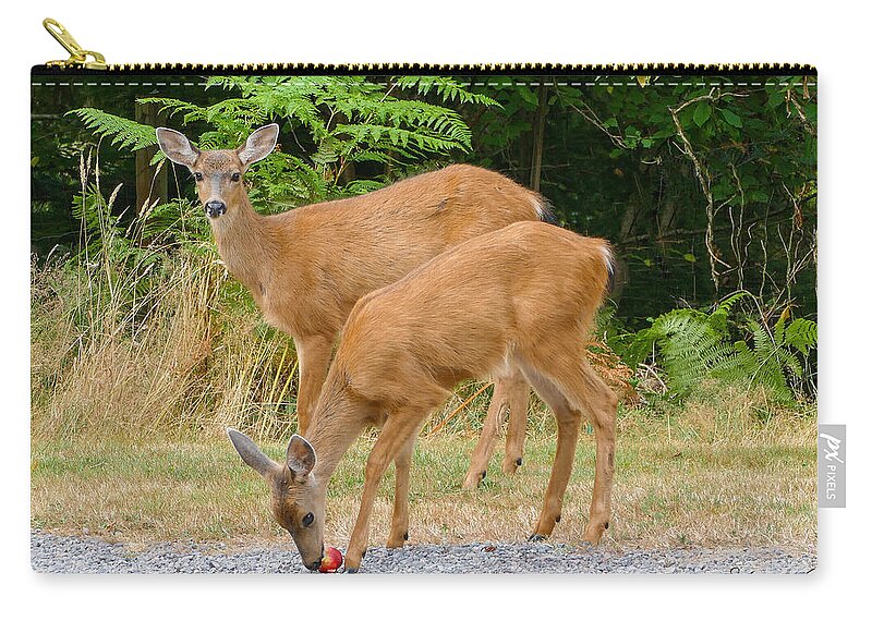 Deer Apple Doe White Tail Fstop101 Forest Woods Zip Pouch featuring the photograph Sharing an Apple by Geno