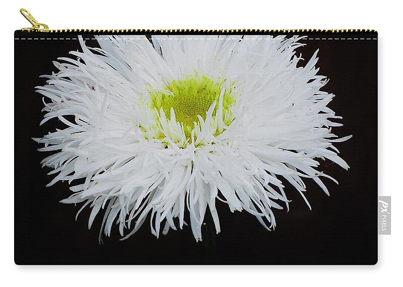 Daisies Zip Pouch featuring the photograph Shasta Daisy by Jimmy Chuck Smith