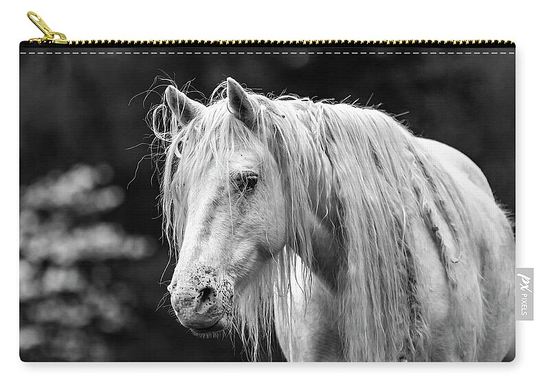 Black And White Zip Pouch featuring the photograph Shawnee Mare and Dogwoods by Holly Ross