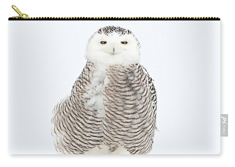 Snowy Owl Zip Pouch featuring the photograph She is so pretty when she smiles by Heather King