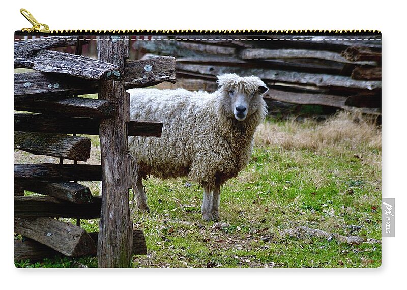 Sheep At The Palace Farm Zip Pouch featuring the photograph Sheep at The Palace Farm by Warren Thompson