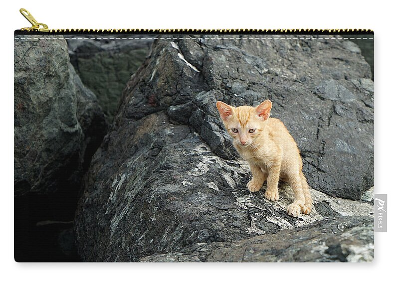 Richard Reeve Carry-all Pouch featuring the photograph Shoreline Kitten by Richard Reeve
