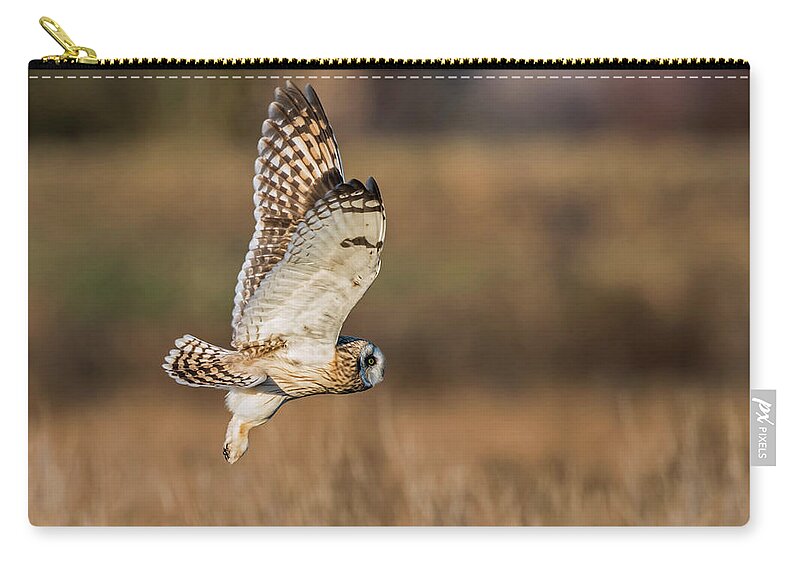 Short-eared Owl Zip Pouch featuring the photograph Short-Eared Owl flight by Terry Dadswell