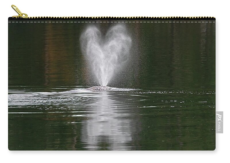 Gray Whale Zip Pouch featuring the photograph Shrimp Loves Anderson Island by Belen Bilgic Schneider