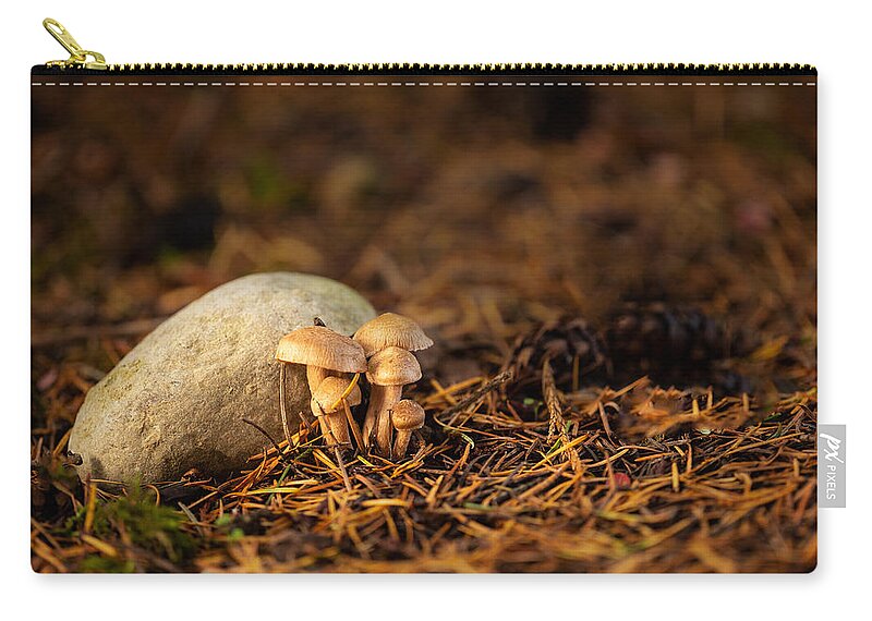 Nature Zip Pouch featuring the photograph Shroom Family by Bob Cournoyer