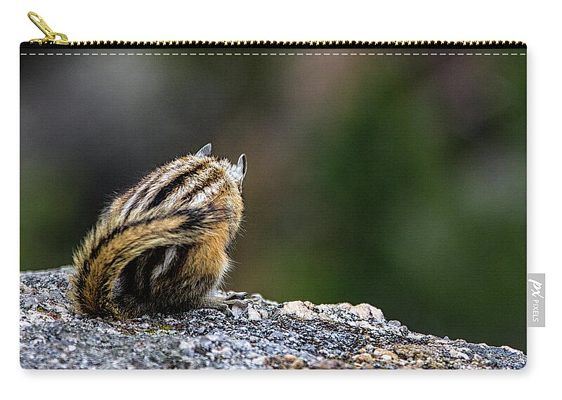Mammal Zip Pouch featuring the photograph Shy Chipmunk by Jason Roberts