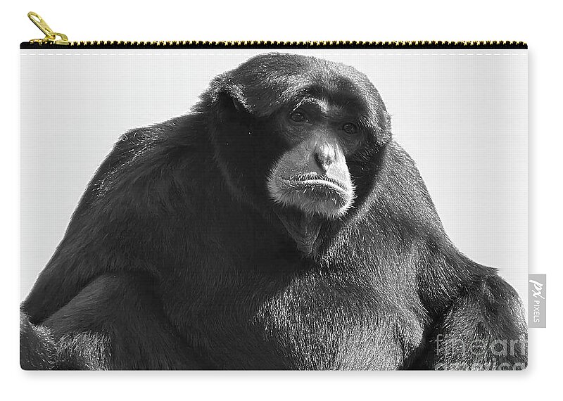 Siamang Zip Pouch featuring the photograph Siamang Portrait in Black and White by Bentley Davis