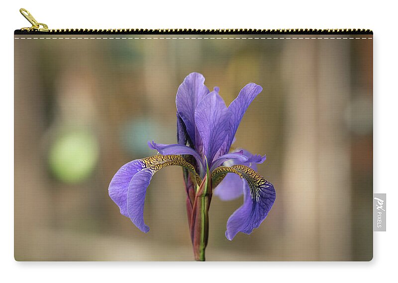 Spring Zip Pouch featuring the photograph Siberian iris - Iris sibirica by Average Images