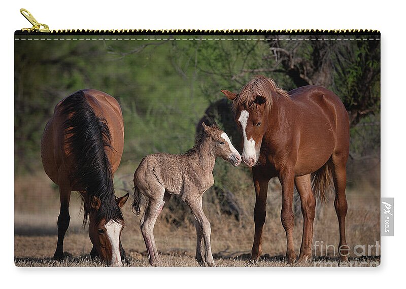 Cute Carry-all Pouch featuring the photograph Sibling Love by Shannon Hastings