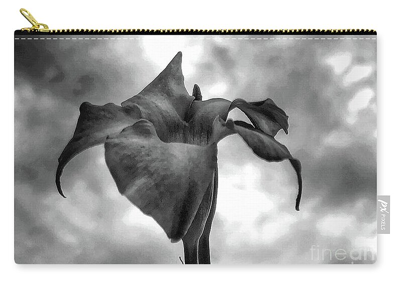 Nature Zip Pouch featuring the photograph Side view BW by Barry Bohn