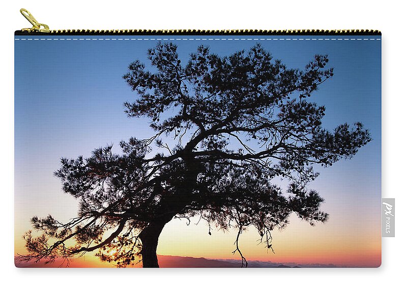 Cyprus Carry-all Pouch featuring the photograph Silhouette of a forest pine tree during blue hour with bright sun at sunset. by Michalakis Ppalis