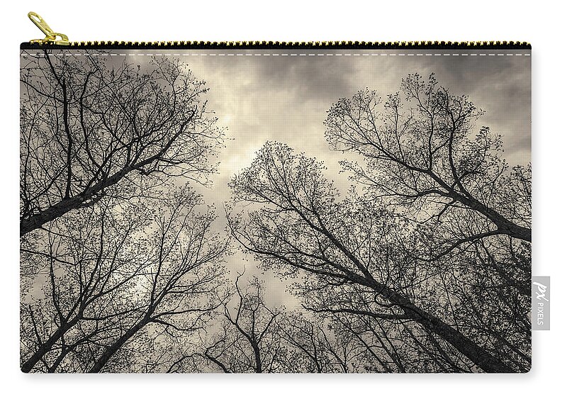 Abstract Zip Pouch featuring the photograph Silhouetted Trees V Toned by David Gordon